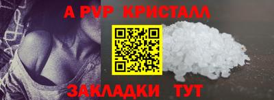 прущие крисы Кингисепп