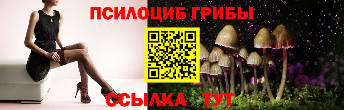 Галлюциногенные грибы мицелий Курчатов